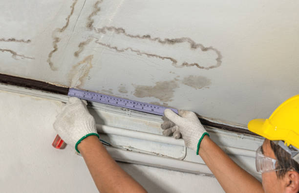 Reliable Water Damage contractor in Fayetteville, AL by Water Damage Irwin